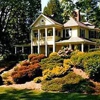 The Yellow House on Plott Creek Road gallery