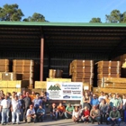 Sunbelt Forest Products