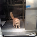 TLC Pet Transport - Pet Services