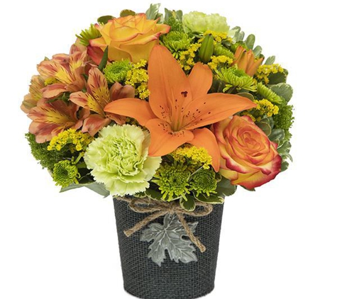 Caruso Florist & Flower Delivery - Washington, DC