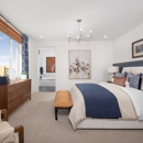 Beazer Homes Arista