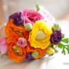 cmproimages photography gallery