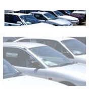 Gallery Image Number 1