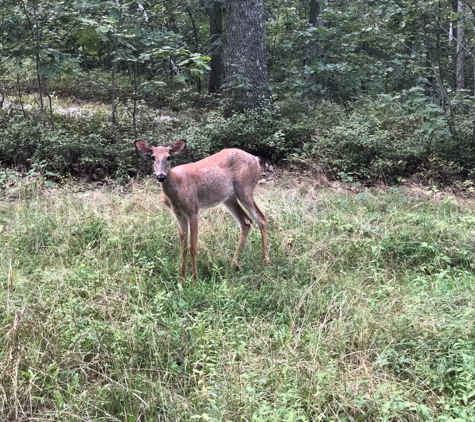 Pond Meadow Park - Braintree, MA