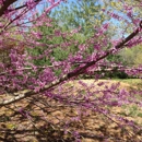 Yuko-En Garden - Botanical Gardens