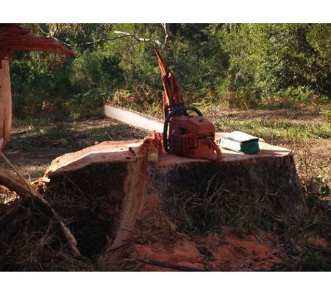 Arbpro Tree Specialists - Moonee Beach, NSW