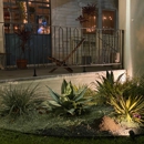 Light Years Natural Wine Shop + Bar - Wine Bars