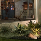 Light Years Natural Wine Shop + Bar
