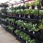 Tractor Supply Co