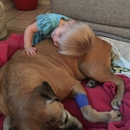 Star Hill Veterinary Clinic