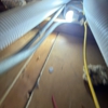 Qute Insulation gallery