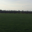 Duck Walk Vineyards North - Tourist Information & Attractions