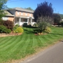 Precision lawn landscape