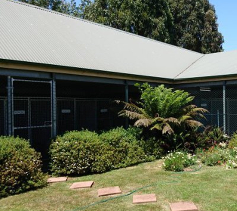 Longford Park Boarding Kennels - Longford, TAS. Longford Park Kennels- Our kennels are open and full of fresh air