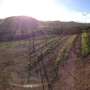 Sbragia Family Vineyards