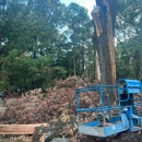 Stump Grinding Services - Tree Service