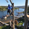 NW Premier Tree Services Beaverton gallery