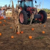 George Hoffman Farms gallery