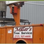 Millers Tree & Bucket Truck Service