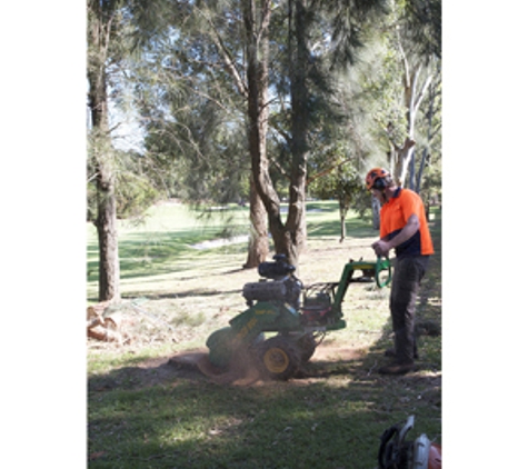 Treevolution Pty Ltd - Five Dock, NSW