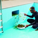 Ocean Pool Cleaning Services - Swimming Pool Repair & Service