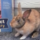 Tri County Veterinary Services-Vince Baumhoegger DVM - Veterinarians