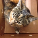 Four Paws Veterinary Center - Veterinary Specialty Services