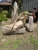 Pat Mcgrath Tree Services - Tree & Stump Removal Services