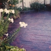 Gallery Image Number 5
