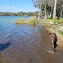 Custom Lakefronts and Tree Care - Tree Service