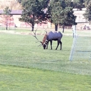 Lake Estes Golf Course