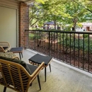 Arya at Hedges Creek - Apartments