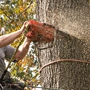 Abba Chief Tree Service of Westminster