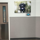 VCA Town Center Animal Hospital - Veterinary Clinics & Hospitals
