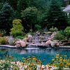 Phillips Pools & Spa gallery