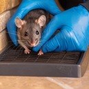 On the Spot Pest Control - Pest Control Equipment & Supplies