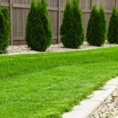 Two Tim's Lawncare, Landscaping & Handyman Services - Landscape Contractors