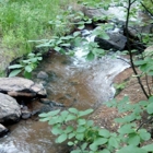 Wines of Colorado