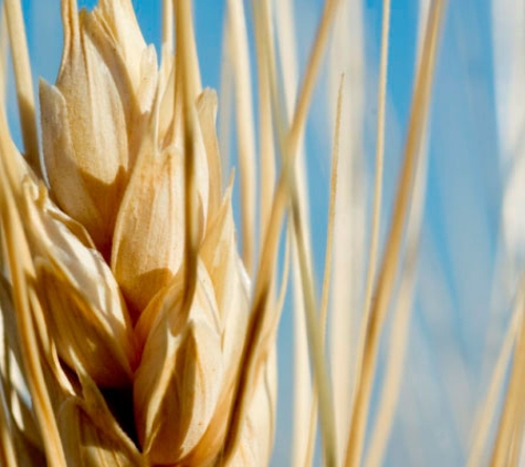 Agracom Pty Ltd - Gunnedah, NSW