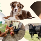 Clifton Feed and Service Center, Inc.