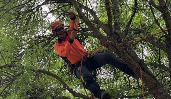 Hortum Tree Services - Jerrabomberra, NSW