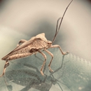 Dixie Exterminators, Inc. - Pest Control Equipment & Supplies