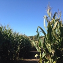 Treinen Farm Corn Maze and Pumpkin Patch - Farms