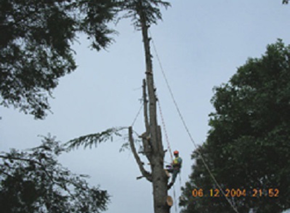 Curtis Tree Lopping Specialists - West Wodonga, VIC