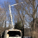 Adler Tree Service & Landscaping - Tree Service