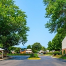Haven Apartments & Townhomes - Apartments