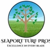Seaport Turf Pros gallery