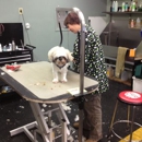 Dirty Dog Grooming - Pet Grooming