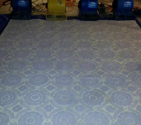 Excellence Carpet  Cleaning and restoration - Smyrna, GA. Area rug cleaning