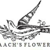 Braach's House Of Flowers gallery